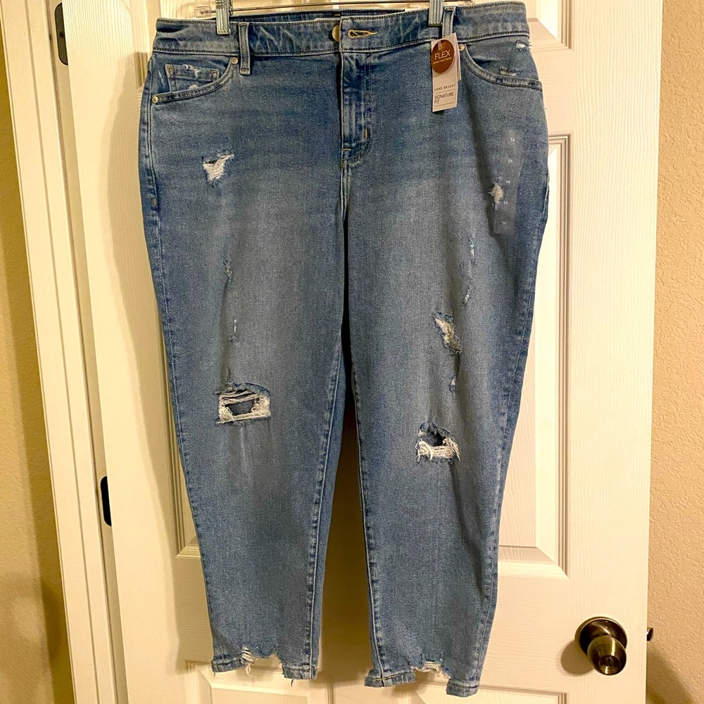 NWT Lane Bryant Boyfriend Capris